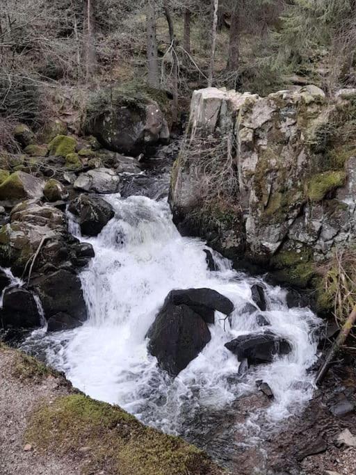 Vacances Xonrupt-Gerardmer Luaran gambar
